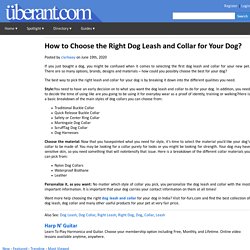 How to Choose the Right Dog Leash and Collar for Your Dog?