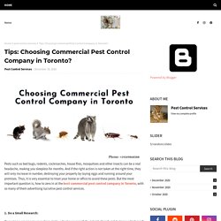 Tips: Choosing Commercial Pest Control Company in Toronto?