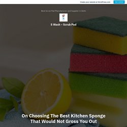 On Choosing The Best Kitchen Sponge That Would Not Gross You Out – S Wash – Scrub Pad
