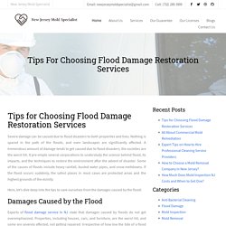Tips for Choosing Flood Damage Restoration Services