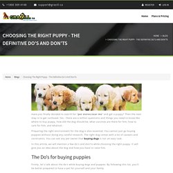 Choosing The Right Puppy - The Definitive Do's And Don'ts