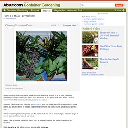 Choosing Terrarium Plants