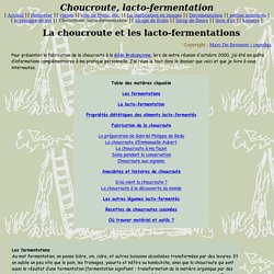 Choucroute, lacto-fermentation