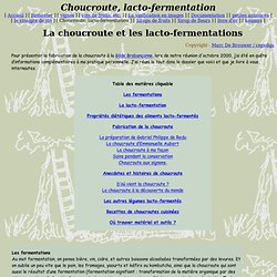 Choucroute, lacto-fermentation