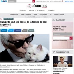 Choupette peut-elle hériter de la fortune de Karl Lagerfeld ?