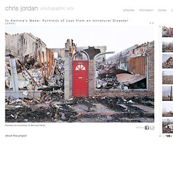 Chris Jordan - In Katrina's Wake