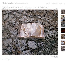 Chris Jordan - In Katrina's Wake