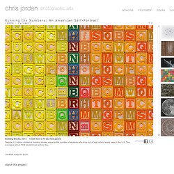 Chris Jordan - Running the Numbers