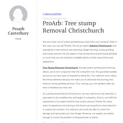 ProArb: Tree stump Removal Christchurch