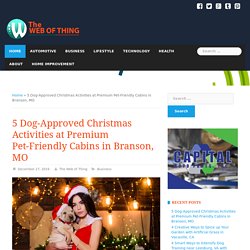 Christmas Activities Around Pet-Friendly Cabins in Branson, MO