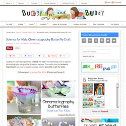 Science for Kids: Chromatography Butterfly Craft