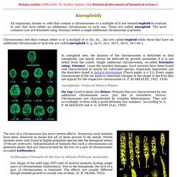Botany online: Classic Genetics - Chromosomal Numbers - Aneuploidy