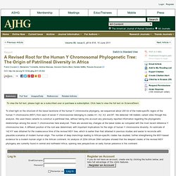 AJHG - A Revised Root for the Human Y Chromosomal Phylogenetic Tree: The Origin of Patrilineal Diversity in Africa