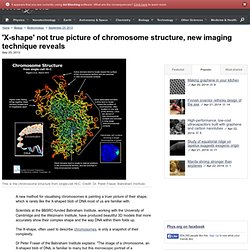 'X-shape' not true picture of chromosome structure, new imaging technique reveals