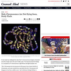 Male Chromosomes Are Not Dying Soon, Study Finds : News