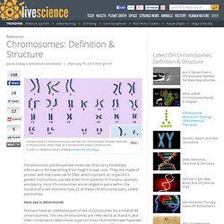 Chromosomes: Definition & Structure