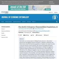 Journal of Economic Entomology 27/12/19 Flea Beetle (Coleoptera: Chrysomelidae) Populations, Effects of Feeding Injury, and Efficacy of Insecticide Treatments on Eggplant and Cabbage in Southwest Virginia
