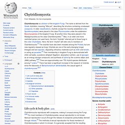Chytridiomycota