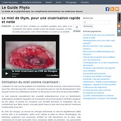 Le miel de thym, pour une cicatrisation rapide et nette - Le guide phyto