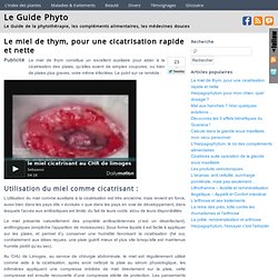 Le miel de thym, pour une cicatrisation rapide et nette - Le guide phyto