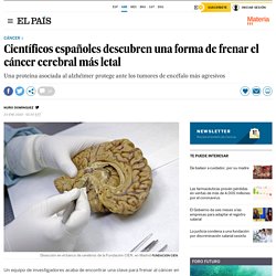 Científicos españoles descubren una forma de frenar el cáncer cerebral más letal