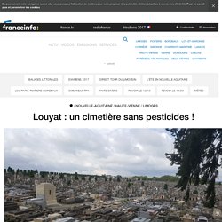 Louyat : un cimetière sans pesticides ! - France 3 Nouvelle-Aquitaine