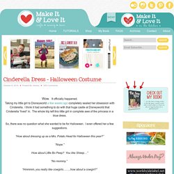 Cinderella Dress – Halloween Costume