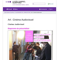 Art : Cinéma Audiovisuel