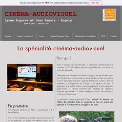 Cinéma-Audiovisuel Renoir Angers Spécialité