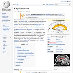 Cingulate cortex