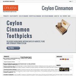 Ceylon Cinnamon Toothpicks - Natural & Hot Cinnamon Toothpicks