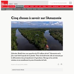 Cinq choses à savoir sur l’Amazonie