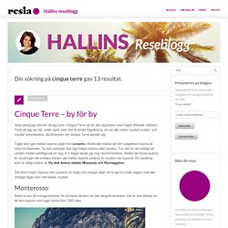 Hallins Reseblogg
