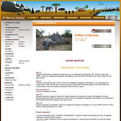 Zambie - Voyage, Circuit, Séjour, Safari > Buffles x 2 (Zambie) > Afrique australe > JP Bernon Safaris