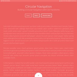 Circular Navigation - Demo 1