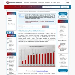 May 2021 Report on Global Circulating Tumor Cell (CTC) Market Overview, Size, Share and Trends 2021-2026