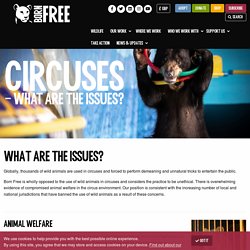 CIRCUSES: WHAT ARE THE ISSUES?