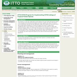 The International Tropical Timber Organization-ITTO