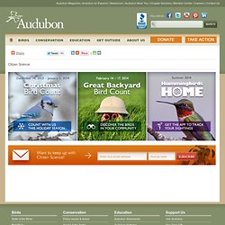 Audubon Citizen Science Bird Count