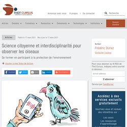 Science citoyenne et interdisciplinarité pour observer les oiseaux