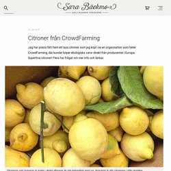 Citroner från CrowdFarming