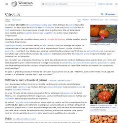 WIKIPEDIA – Citrouille.