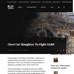 Civet Cat Slaughter To Fight SARS