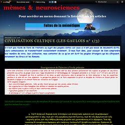 CIVILISATION CELTIQUE (LES GAULOIS n° 1/3)