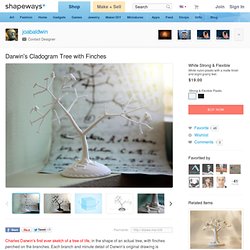 Darwin's Cladogram Tree with Finches by joabaldwin on Shapeways