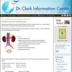 Dr. Clark's Advanced Kidney Cleanse