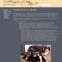 Clasificación de los animales - Clasificación de los animales