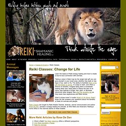 Reiki Classes: healing for animals and people
