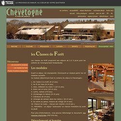 Les classes de forêt - Domaine Provincial de Chevetogne