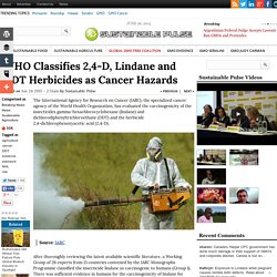 WHO Classifies 2,4-D, Lindane and DDT Herbicides as Cancer Hazards